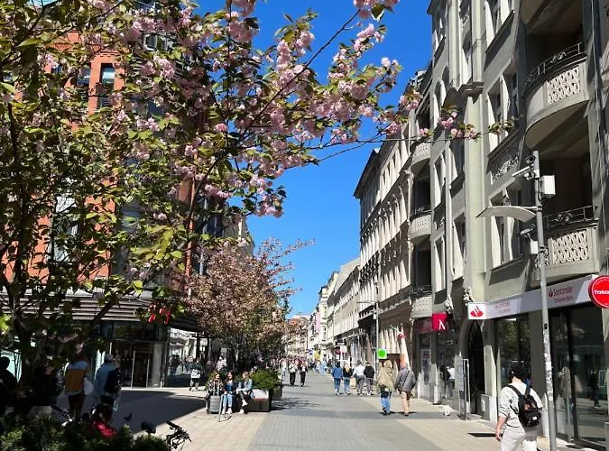 Sloneczny Centrum Poznania Klimatyzacja Wi-fi Tv Zmywarka Pralka Piekarnik *